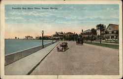 Beautiful Bay Shore Drive Tampa, FL Postcard Postcard