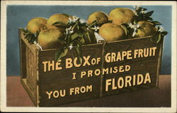 Box of Grapefruit from Florida Postcard