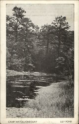 Lily Pond at Camp Matollionequay Medford, NJ Postcard Postcard