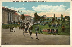 View New York State Fair Grounds Syracuse, NY Postcard Postcard