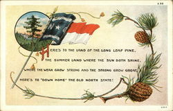 Land of the Long Leaf Pine North Carolina State Flowers & Seals Postcard Postcard