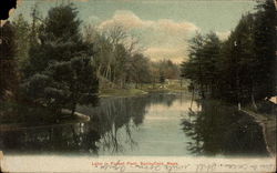 Lake in Forest Park Postcard