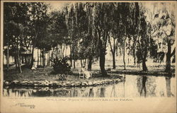 Willow Point, Sanatarium Park Clifton Springs, NY Postcard Postcard