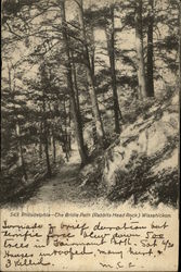 The Bridle Path (Rabbits Head Rock) Wissahickon Postcard