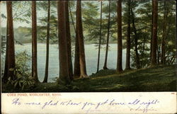 Coes Pond Postcard