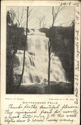 Chittenango Falls New York Postcard Postcard