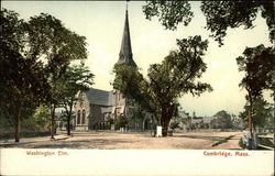 Wshington Elm Cambridge, MA Postcard Postcard