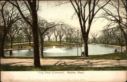 Frog Pond (Common) Boston, MA Postcard Postcard