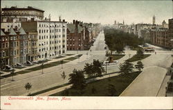 Commonwealth Ave Postcard