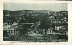 Bird's Eye View of Maple Avenue looking North Victor, NY Postcard Postcard