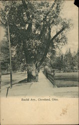 Euclid Ave Postcard