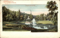 Congress Spring Park Postcard