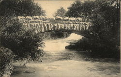 Rustic Bridge to First Sister Island Postcard