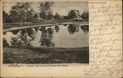 View in Whitman Park Massachusetts Postcard Postcard