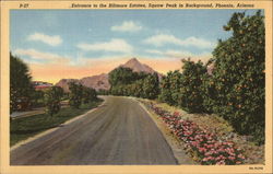 Entrance to the Biltmore Estates Postcard