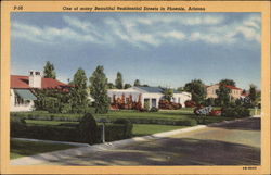 One of Many Residential Streets Postcard