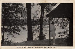 Reverie at Camp-In-The-Woods Stockton, NY Postcard Postcard