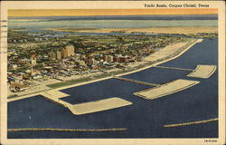 Yacht Basin Postcard