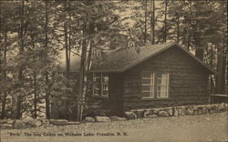 "Birch" The Log Cabin on Webster Lake Postcard