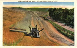 Harvesting Wheat in the Pacific North West Postcard