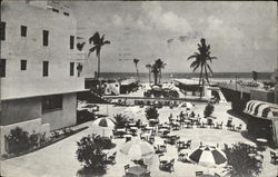 Shore Club Hotel, Pool and Cabana Colony Postcard