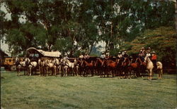 Stage Coach, Knott's Berry Farm Postcard