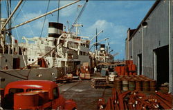 Dock Scene Postcard