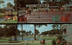 Bay Pines Park Postcard