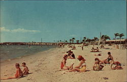 Bahia Beach Ruskin, FL Postcard Postcard