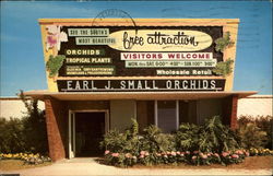 Earl J. Small Orchids St. Petersburg, FL Postcard Postcard