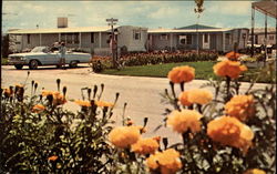 Holiday Hills Mobile Home Resort Denver, CO Postcard Postcard