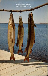 Three Beauties - Fish South Colton, NY Postcard Postcard