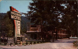 Hagewood Motel Gatlinburg, TN Postcard Postcard