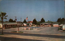 Lion Motor Court & Cottages St. Augustine, FL Postcard Postcard