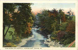 View Along the Bushkill, Looking East Postcard