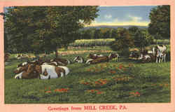 Greetings from Mill Creek Pennsylvania Postcard Postcard