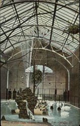 Inside of Bird Cage - Lincoln Park Zoo Postcard