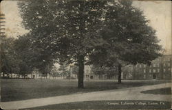 Campus, Lafayette College Postcard