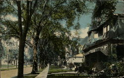 South Goddman St. Rochester, N.Y New York, NY Postcard Postcard