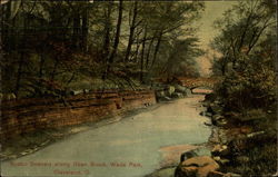 Rustic Scenery along Doan Brook, Wade Park Postcard