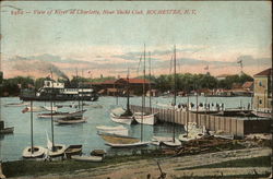 View of River at Charlotte, near Yacht Club Postcard