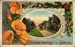 Christmas Greetings from California Postcard Postcard