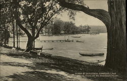 Scene at Beautiful Conesus Lake, Cove at McPherson Point New York Postcard Postcard