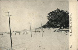 The Beautiful Beach Biloxi, MS Postcard Postcard