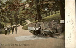 The Springs, Rock Springs Park Chester, WV Postcard Postcard