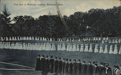 Tree Day at Wellesley College Massachusetts Postcard Postcard