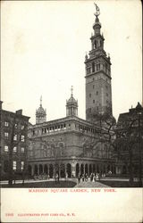 Madison Square Garden New York, NY Postcard Postcard