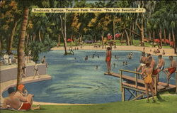 Sanlando Springs, Tropical Park Orlando, FL Postcard Postcard