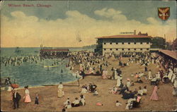 Wilson Beach Chicago, IL Postcard Postcard