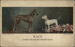 Safe Under the Right Protection Dogs Postcard Postcard